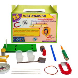 Basic Magnetism (25 Activity)