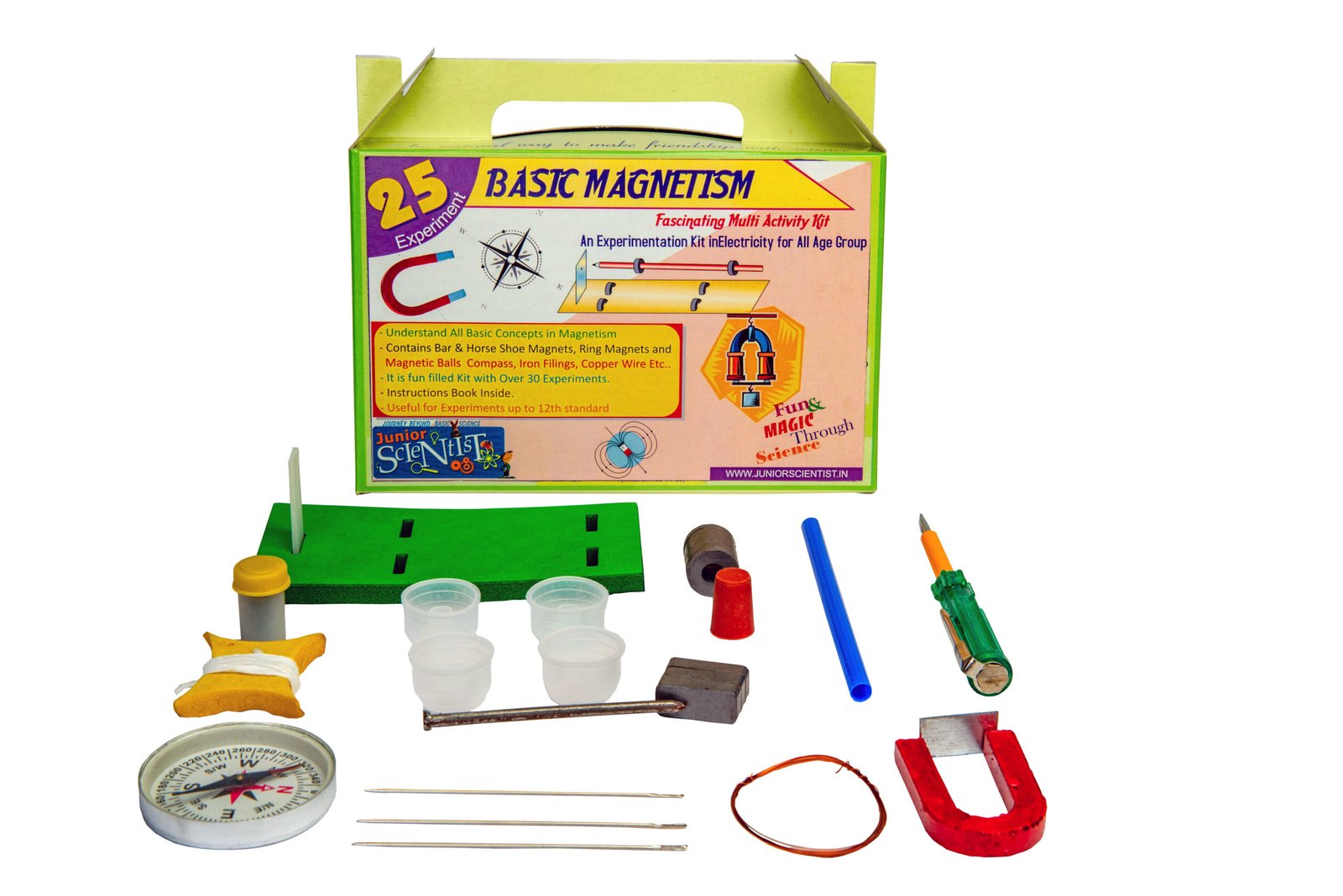 Basic Magnetism (25 Activity)