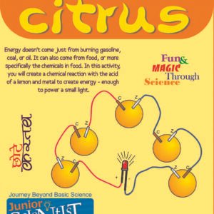 Electricity From Citrus