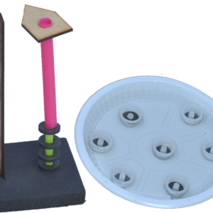 Fun With Magnet (2 Activity)