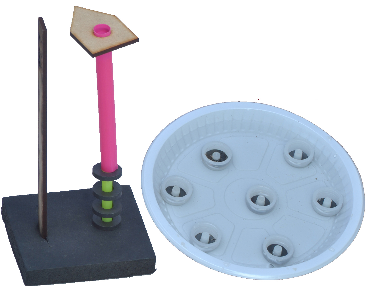 Fun With Magnet (2 Activity)